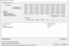 Process Lasso Server Edition