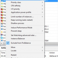 Exclude from ProBalance